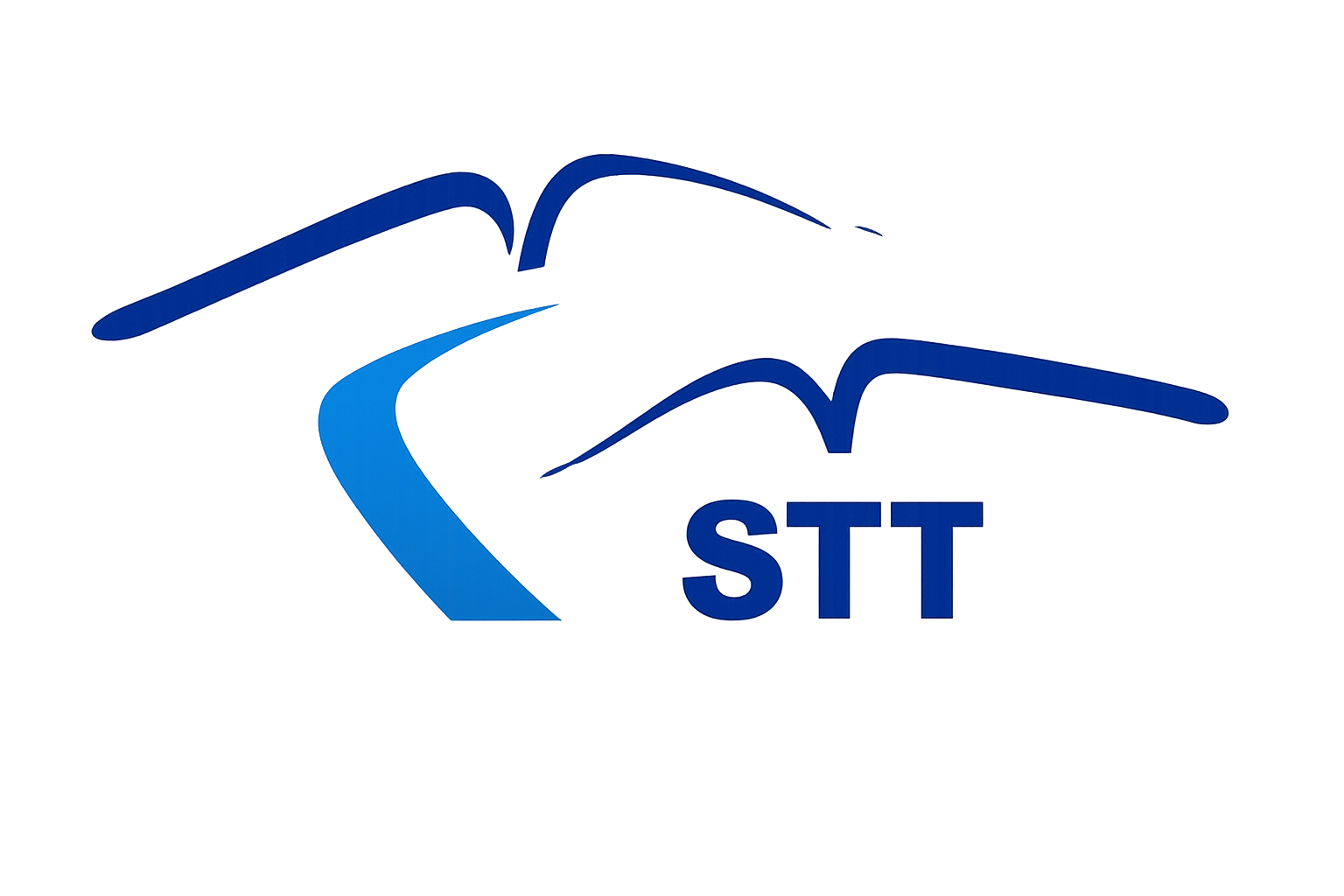 STT Truck Management